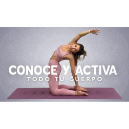 Conoce y activa todo tu cuerpo (Yoga)