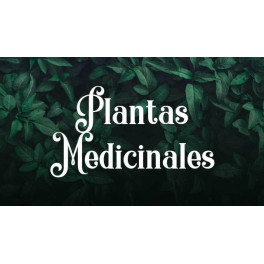 Plantas medicinales - Carolina Bueno