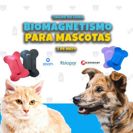 Biomagnetismo aplicado a mascotas