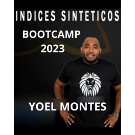 Bootcamp intensivo de índices sintéticos - Yoel Montes