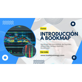 Introducción a Bookmap