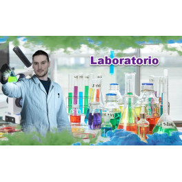 Laboratorio - Pato Bonato