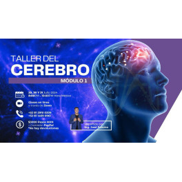 Taller del Cerebro Módulo 1