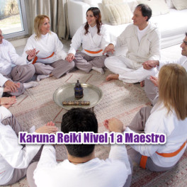 Karuna Reiki Nivel 1 a Maestro Completo