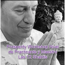 Prosperity Workshop Nivel de Practicante y Maestro Las 12 Shaktis