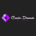 Creador Diamante Curso de TikTok - Lulu99