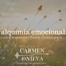 Alquimia Emocional con Biomagnetismo Consciente Alquimia Emocional con Biomagnetismo Consciente