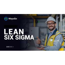 Fundamentos de Lean Six Sigma Analytics