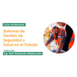 Sistemas de Gestión de Seguridad y Salud en el Trabajo 