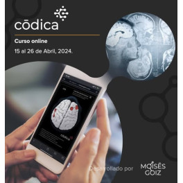 Curso de CODICA