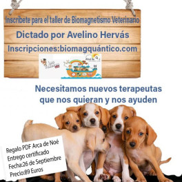 Taller Biomagnetismo Veterinario