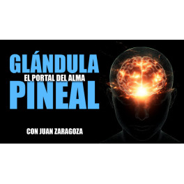 Gl&aacute;ndula Pineal El Portal del Alma