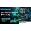 Patología Biomagnética - Bacterias Gram Positivas