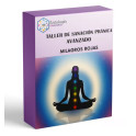 Curso de Sanación Pránica Avanzado