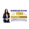 FENIX Reinvención Profesional
