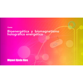 Bioenergetica y Biomagnetismo Hologr&aacute;fico Energ&eacute;tico