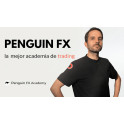 Penguin FX Academy