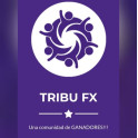 Curso de Trading Tribu FX - Michael Jival