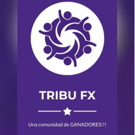 Curso de Trading Tribu FX - Michael Jival
