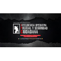 Diploma Internacional en Inteligencia Operativa Policial y Seguridad Ciudadana
