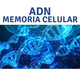 ADN Memoria Celular + Certificaci&oacute;n