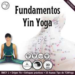 Fundamentos Yin