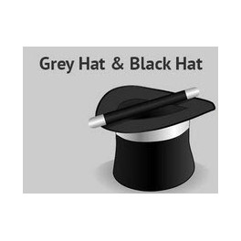 SEO Gray Hat, Black Hat y Penalizaciones