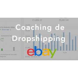 Curso de Dropshipping Ebay