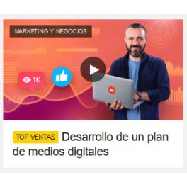 Desarrollo de un Plan de Medios Digitales