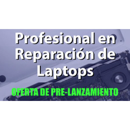 Profesional en Reparación de Laptops