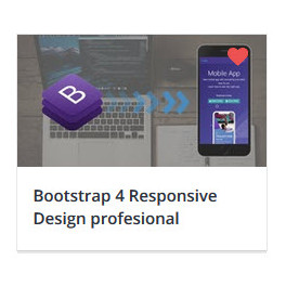 Bootstrap 4 Responsive Design profesional + Proyecto 