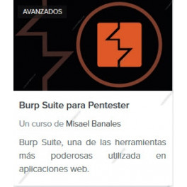 Burp suite para pentester