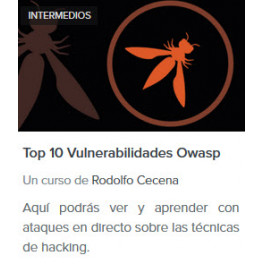 Top 10 vulnerabilidades OWASP