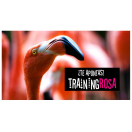 Training Rosa