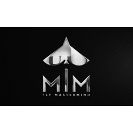 Fly Mastermind - Branding