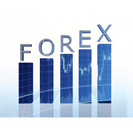 Seminario online cómo invertir en el mercado forex