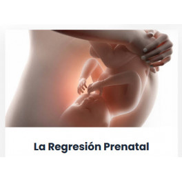 Regresión prenatal