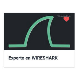 Experto en Wireshark