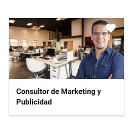 Consultor de marketing y publicidad