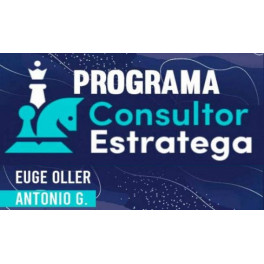 Programa Consultor Estratega