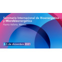 Seminario Internacional de Bioenergética y Microbioenergética Vallarta 2021