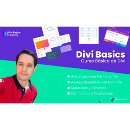 Curso online básico de Divi