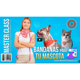 Bandanas para tu mascota