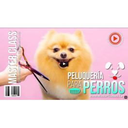 Peluquería para perros