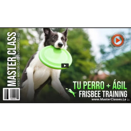 Tu perro ágil frisbee training