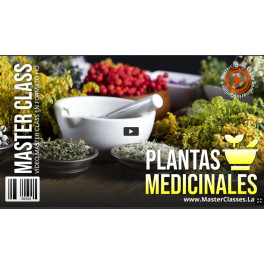 Plantas medicinales