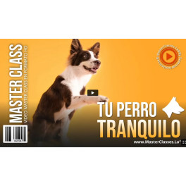 Tu perro tranquilo