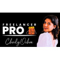 Workshop Freelancer Pro