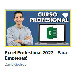 Excel Profesional 2022 para Empresas - David Godeau