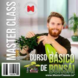 Curso básico de Bonsai